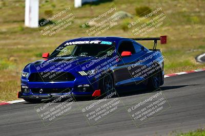 media/Apr-07-2024-VIP Trackdays (Sun) [[358c235f4a]]/Advanced Group/Session 2 (Turn 6)/